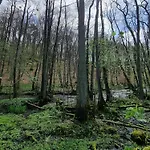 Nyaraló Nad Morzem Lublewo21 Obok Bialogory Lublewo Leborskie