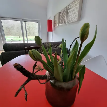 Nad Morzem Lublewo21 Obok Bialogory