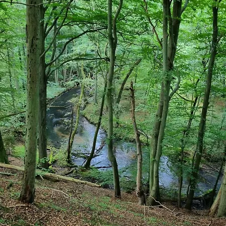 Semesterbostad Nad Morzem Lublewo21 Obok Bialogory