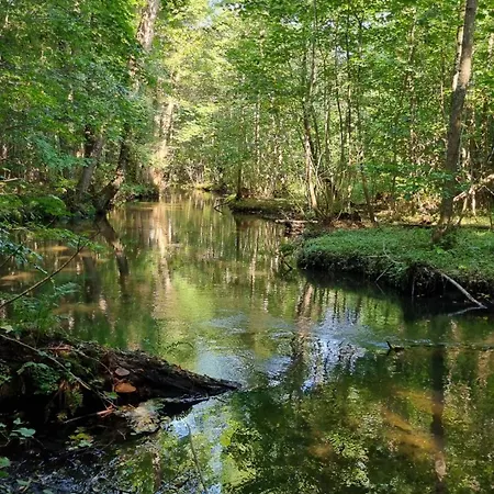 Semesterbostad Nad Morzem Lublewo21 Obok Bialogory