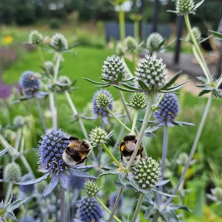 Nad Morzem Lublewo21 Obok Bialogory