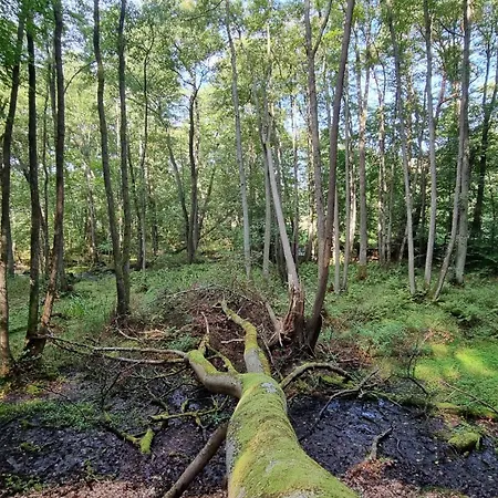 Semesterbostad Nad Morzem Lublewo21 Obok Bialogory *