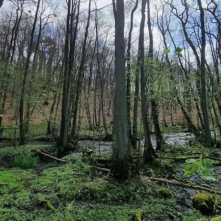 別荘 Nad Morzem Lublewo21 Obok Bialogory Lublewo Leborskie