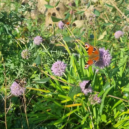 Nad Morzem Lublewo21 Obok Bialogory Semesterbostad *