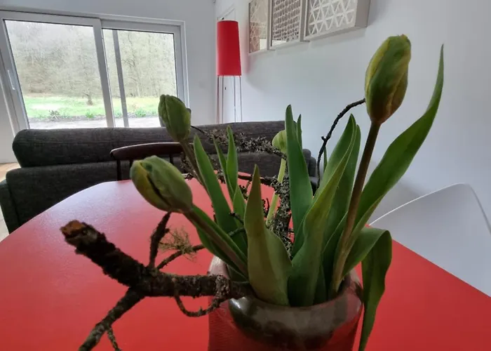 Nad Morzem Lublewo21 Obok Bialogory