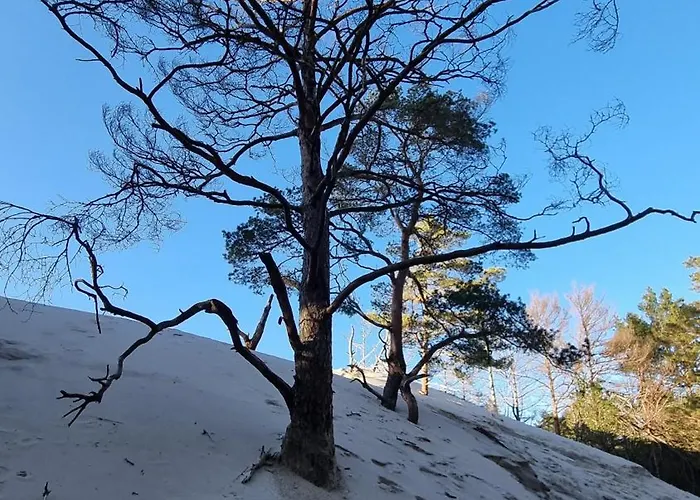 Prázdninový dům Nad Morzem Lublewo21 Obok Bialogory *