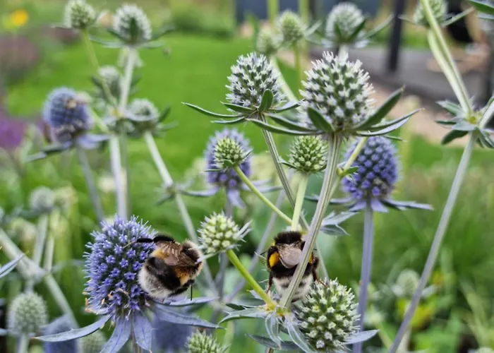 Nad Morzem Lublewo21 Obok Bialogory