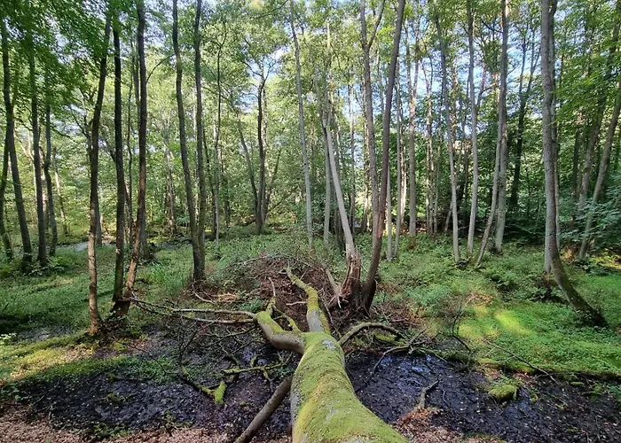 Prázdninový dům Nad Morzem Lublewo21 Obok Bialogory *