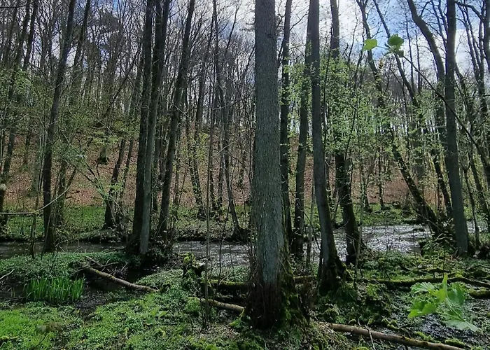 Prázdninový dům Nad Morzem Lublewo21 Obok Bialogory Lublewo Leborskie