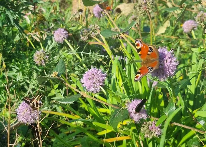 Nad Morzem Lublewo21 Obok Bialogory Prázdninový dům *